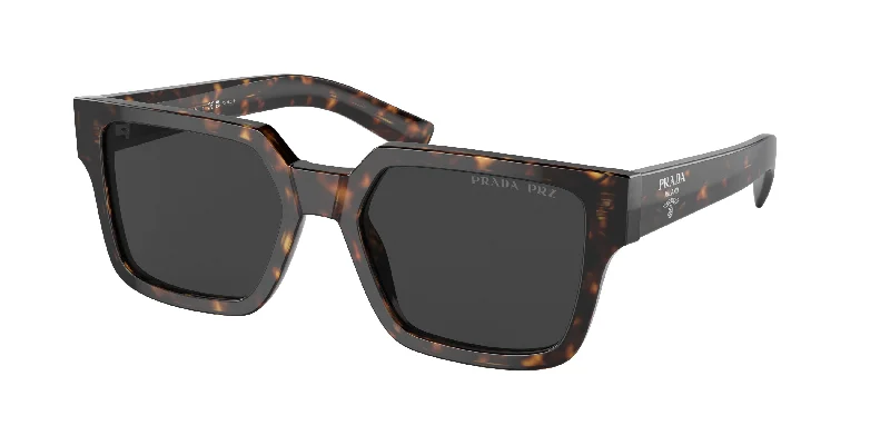 2AU08G-Tortoise - Polarized